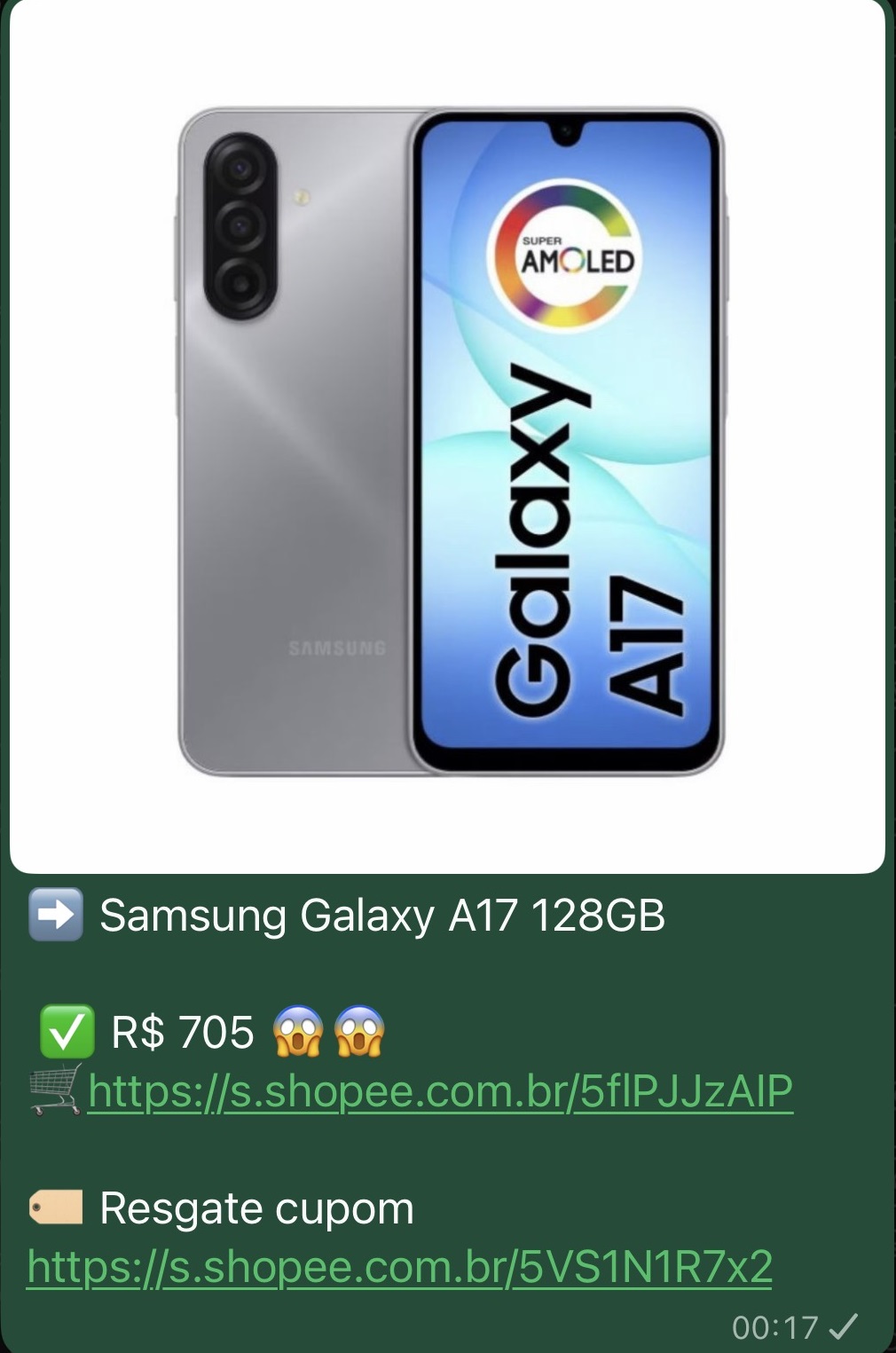 Print real de oferta enviada no grupo