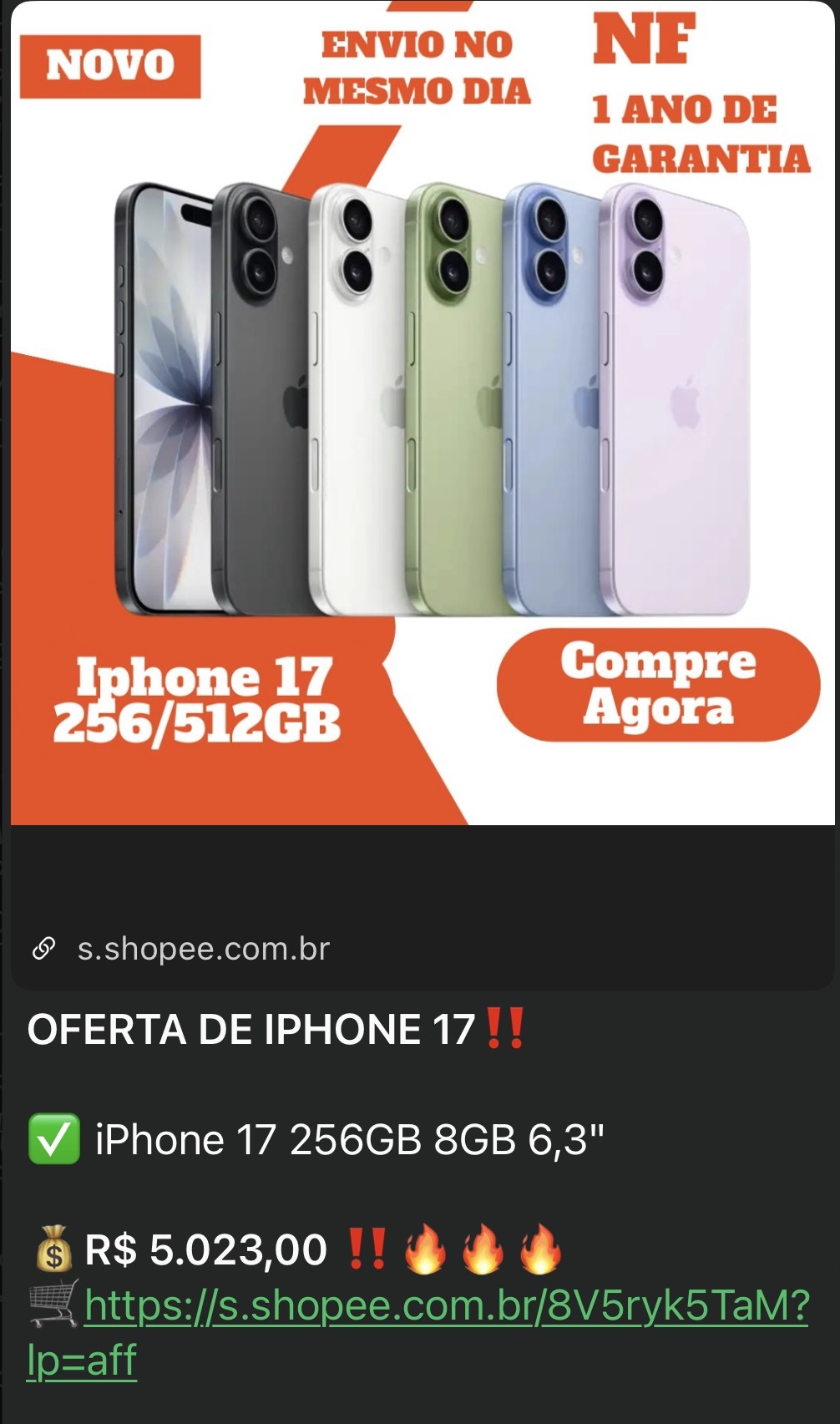 Print real de oferta enviada no grupo
