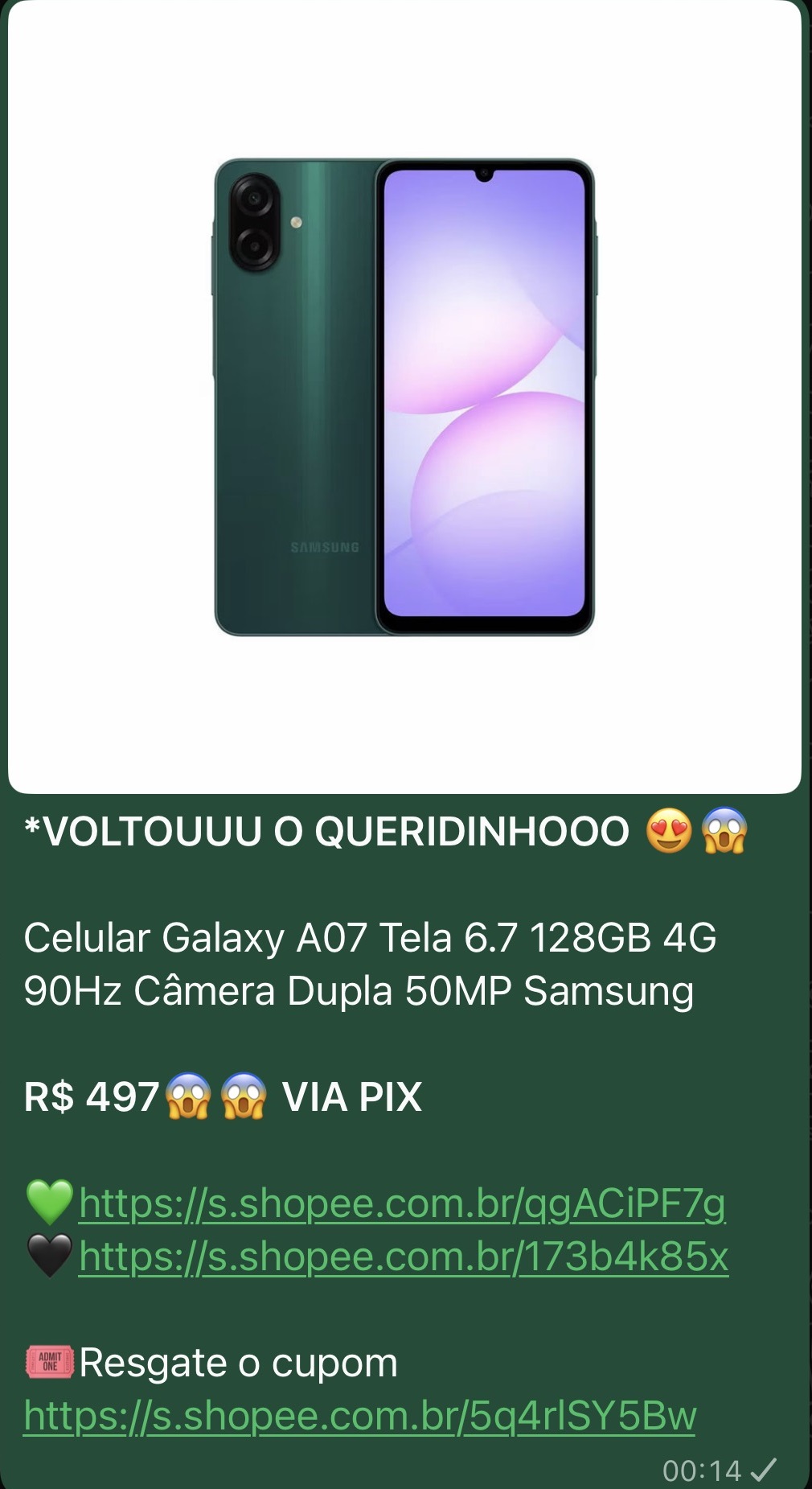 Print real de oferta enviada no grupo